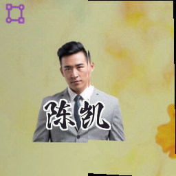 陈凯
